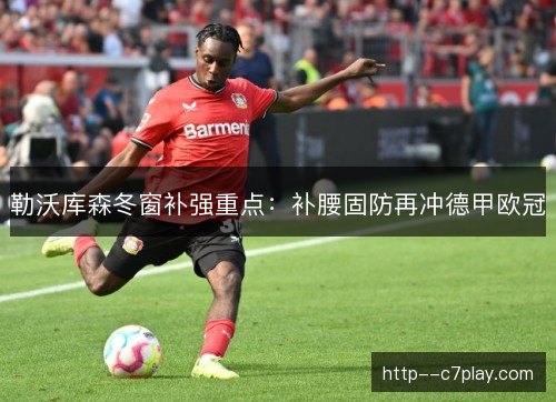 勒沃库森冬窗补强重点：补腰固防再冲德甲欧冠